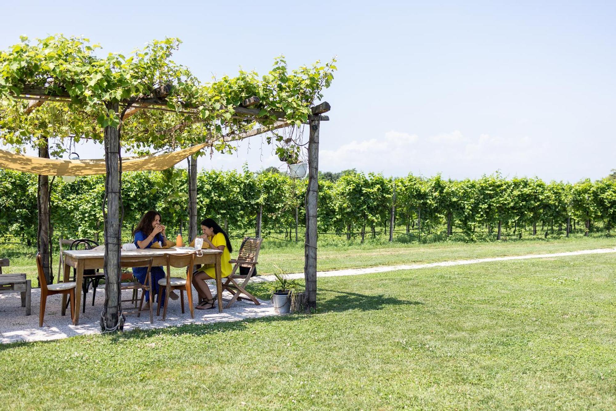 Agriturismo Da Zeffi Spresiano Екстериор снимка